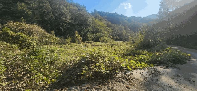 B000431202501300003143.jpg