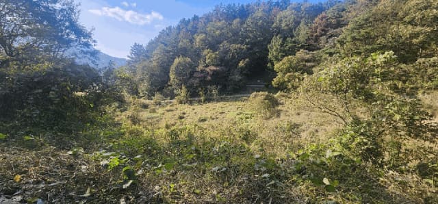 B000431202501300003142.jpg