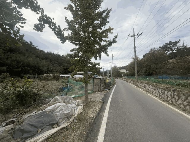 B000431202501300003165.jpg
