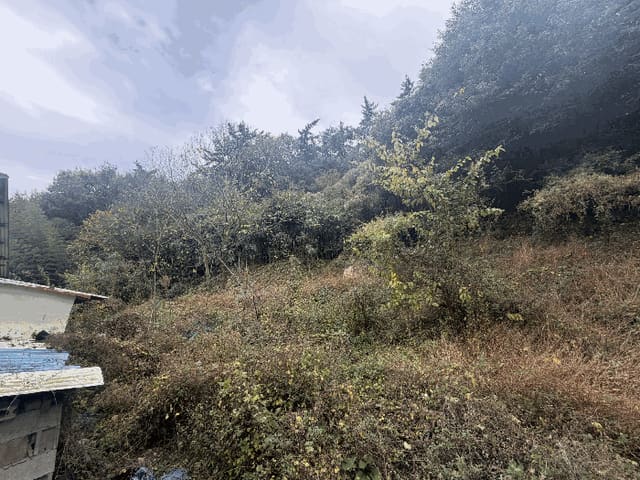 B000431202501300003166.jpg