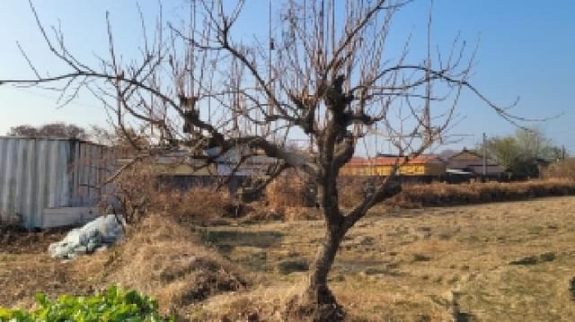 B000431202501300003473.jpg