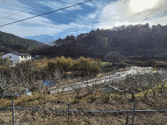 B0004312025013000035319.jpg