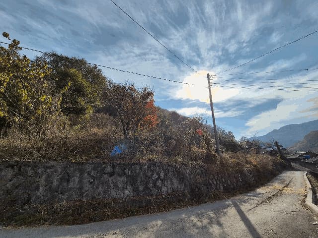 B0004312025013000035317.jpg