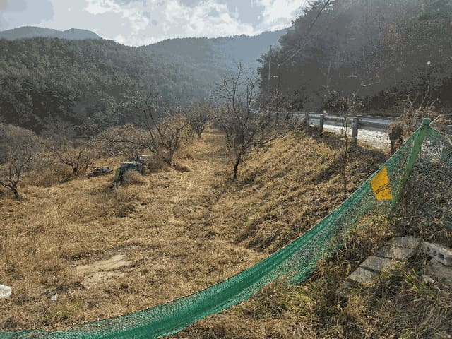 B000431202501300003704.jpg