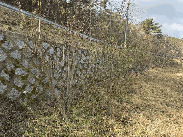 B000431202501300003705.jpg