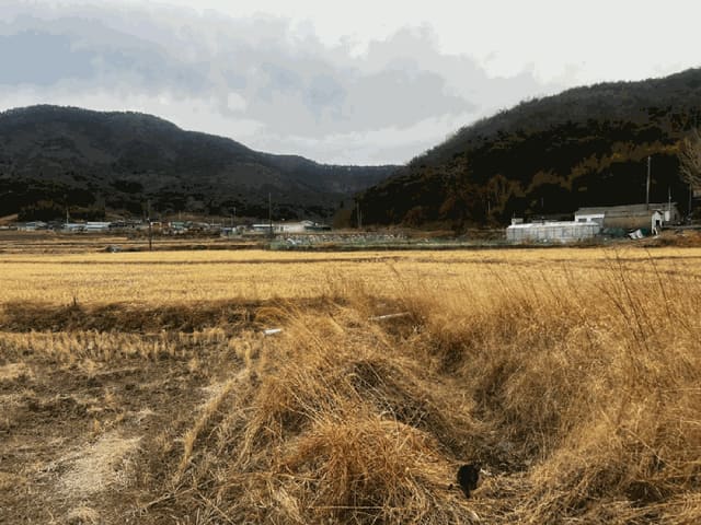 B000431202501300203914.jpg