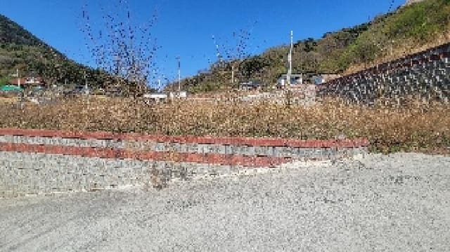 B000431202501300204008.jpg