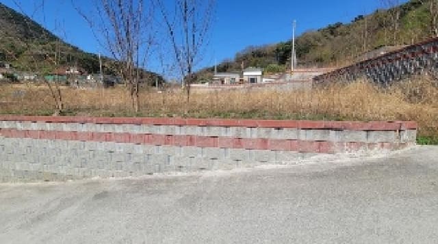 B000431202501300204003.jpg