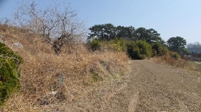 B000431202501300204351.jpg
