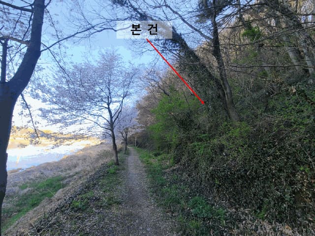 B000431202501300204793.jpg