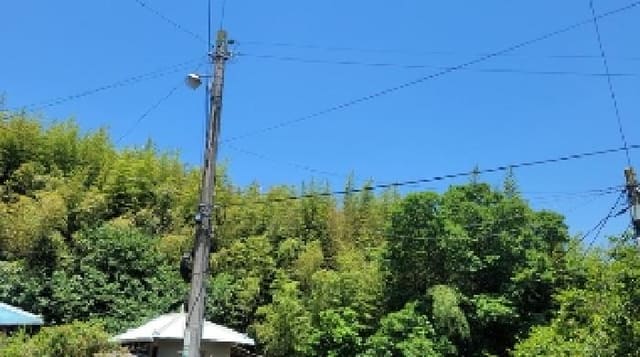 B000431202501300205841.jpg