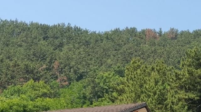 B000431202501300206361.jpg