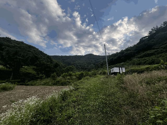 B000431202501300206674.jpg