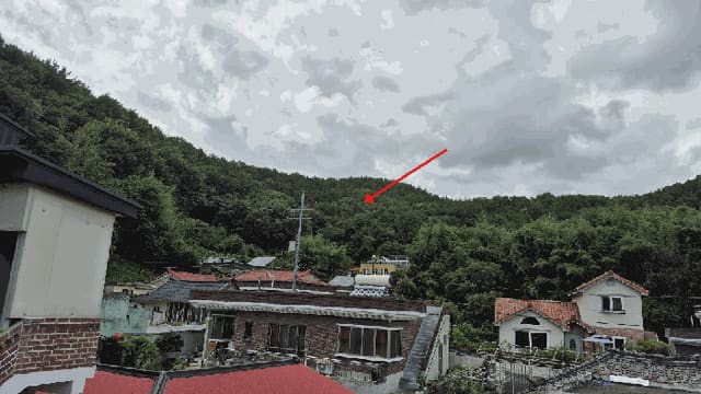 B000431202501300207264.jpg
