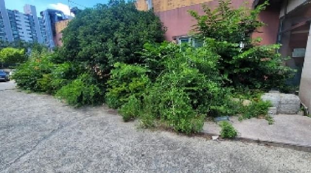 B000431202501300207474.jpg