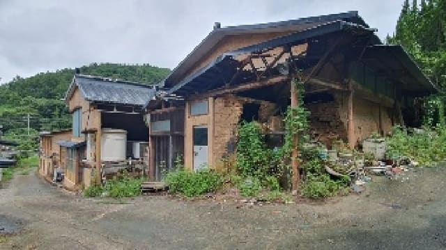 B000431202501300207503.jpg