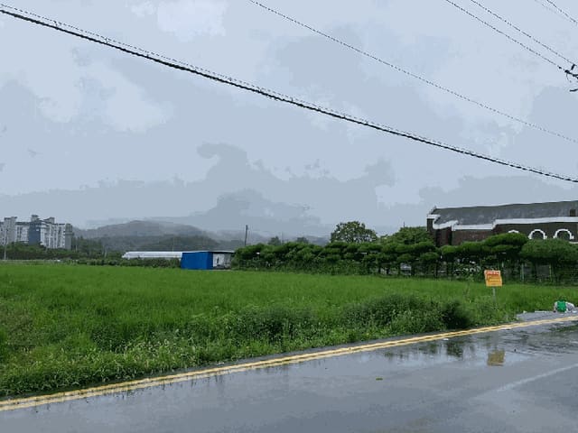 B000431202501300207764.jpg