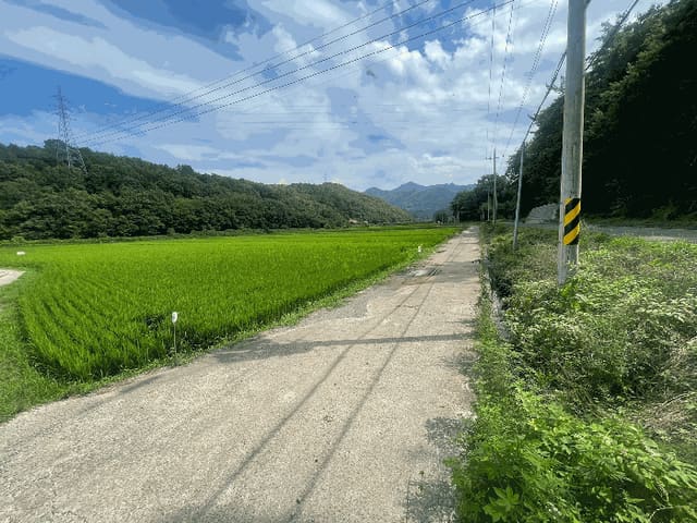 B000431202501300207824.jpg