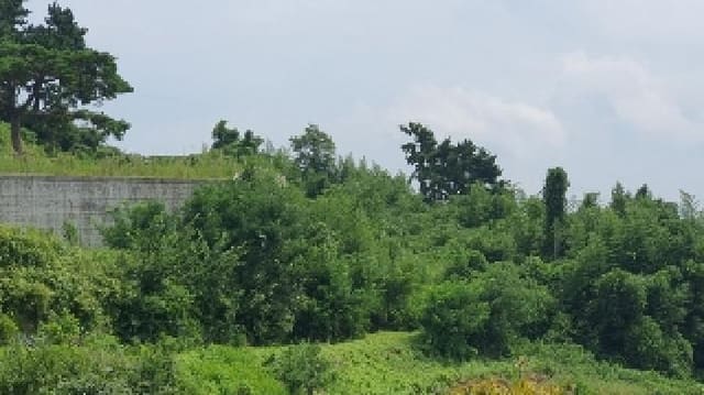 B000431202501300208272.jpg