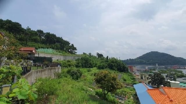 B000431202501300208271.jpg