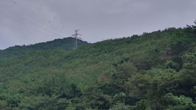 B000431202501300208301.jpg