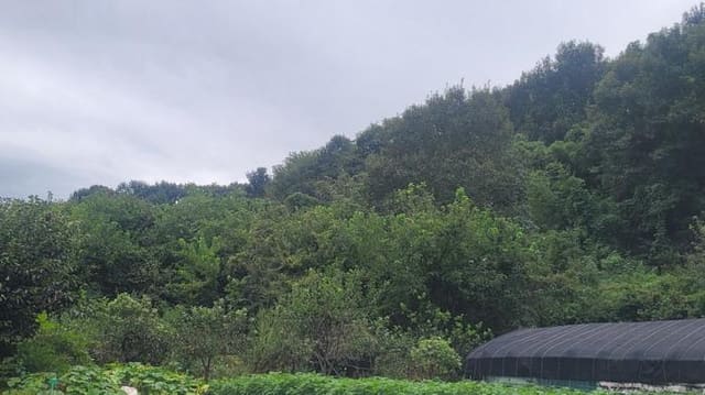 B000431202501300208302.jpg