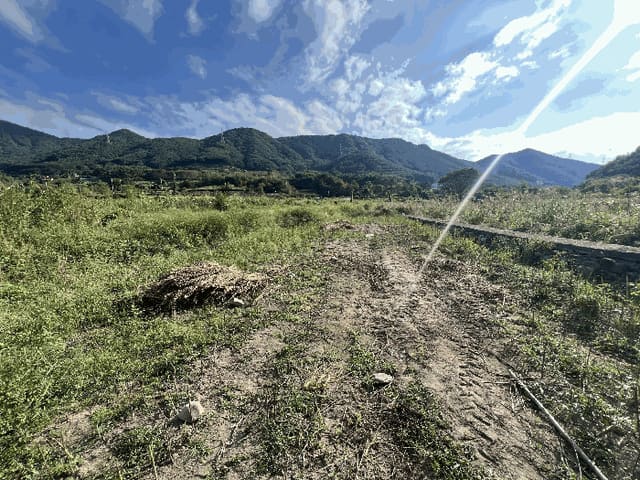 B000431202501300208704.jpg