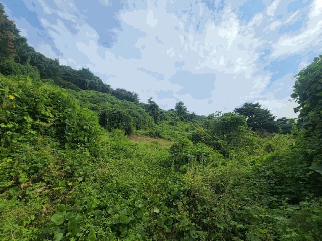 B000431202501300208804.jpg