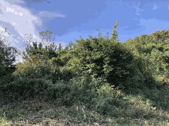 B000431202501300208814.jpg