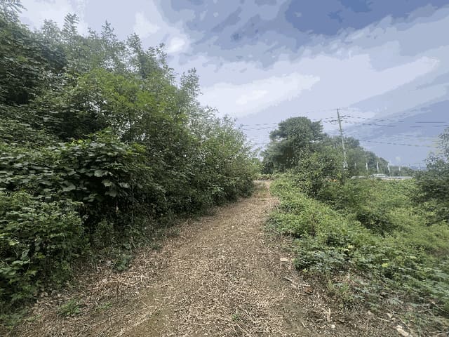 B0004312025013002089610.jpg