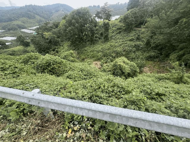 B000431202501300208969.jpg