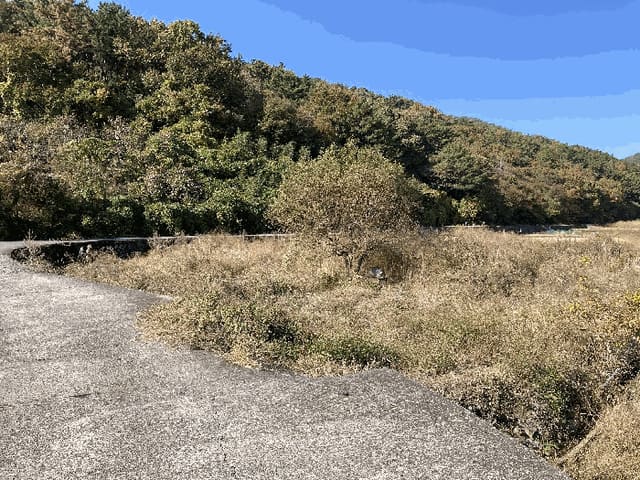 B000431202501300209744.jpg