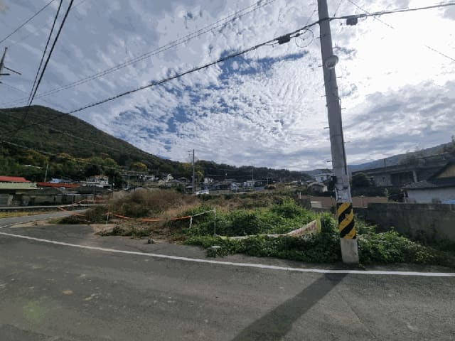 B000431202501300209894.jpg