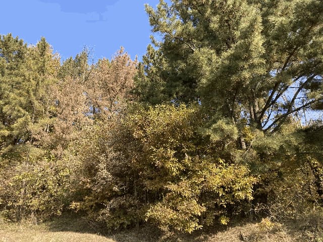 B000431202501300209904.jpg
