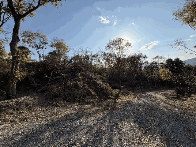 B000431202501300209974.jpg