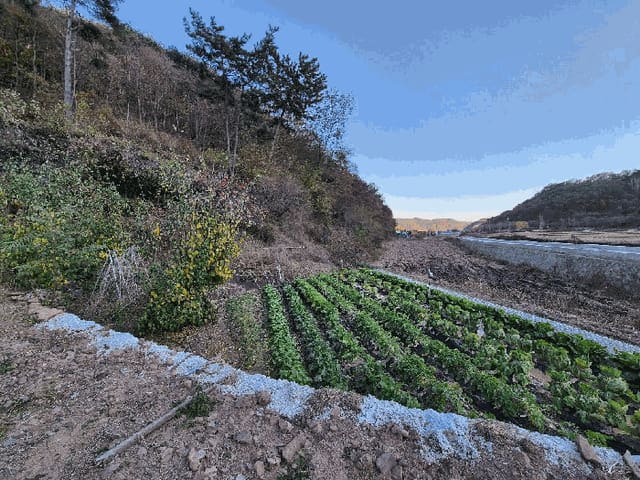 B0004312025013002101117.jpg