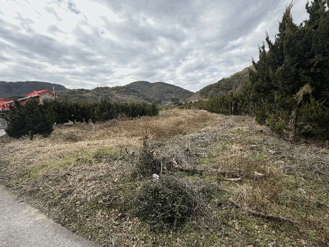 B000431202501300210564.jpg