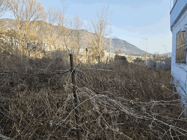 B000431202501300210744.jpg