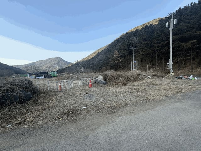 B000431202501300211074.jpg