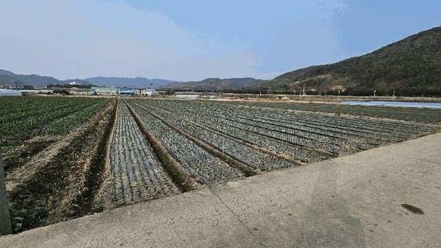 B000431202601300000304.jpg