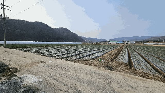 B000431202601300000303.jpg