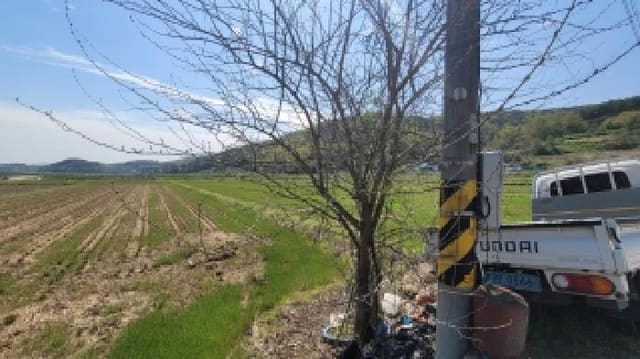 B000431202601300201501.jpg