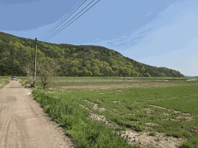 B000431202601300201504.jpg
