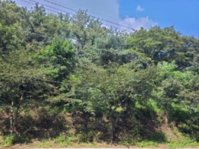 B000510202201300053292.jpg