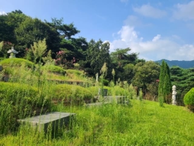 B000510202201300053291.jpg
