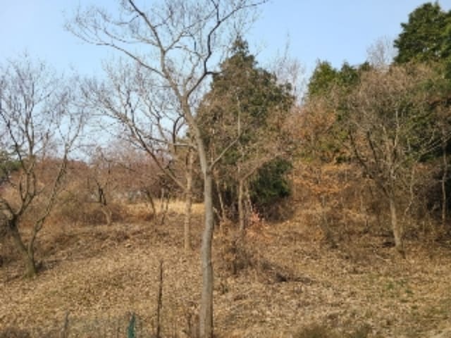 B000510202301300632094.jpg