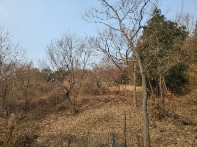 B000510202301300632092.jpg