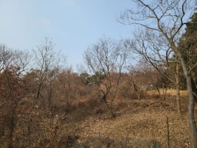 B000510202301300632093.jpg