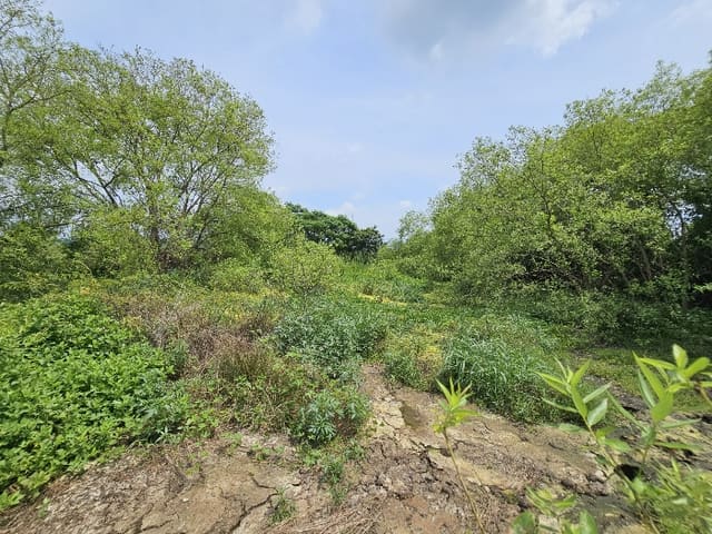 B000510202401300777939.jpg