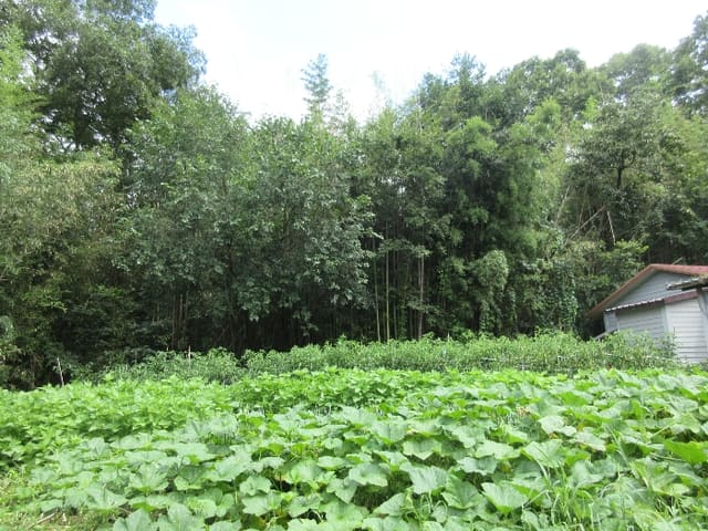 B0005102024013007838351.jpg